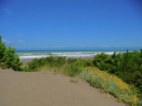 Huge Holiday Home in Marina di Castagneto Carducci near Sea